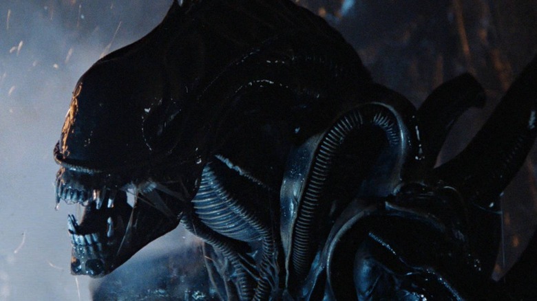 Xenomorph snarling