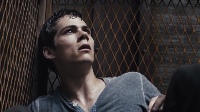 Dylan O'Brien in the Maze Runner