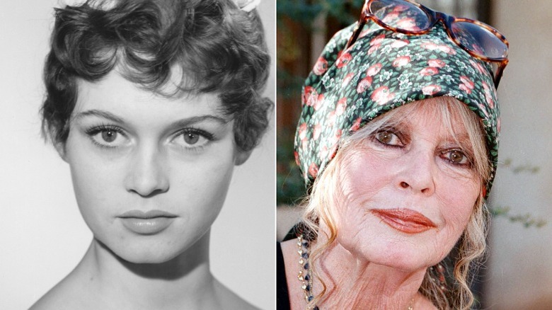 Brigitte Bardot young vs old