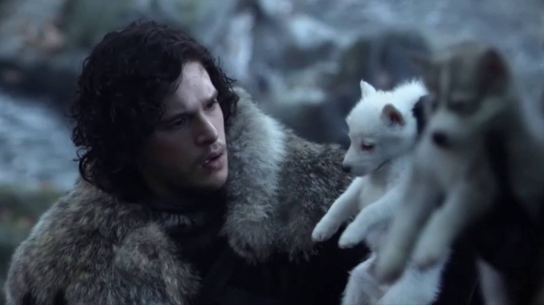Jon holding direwolf puppy