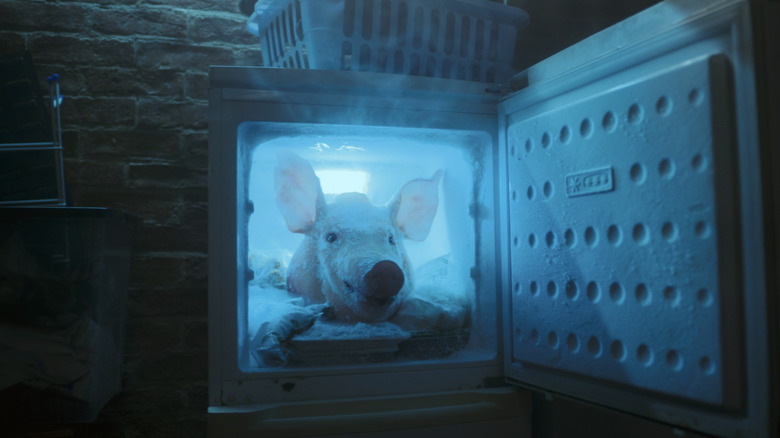 "Pigtrick" in a freezer in "Bait"