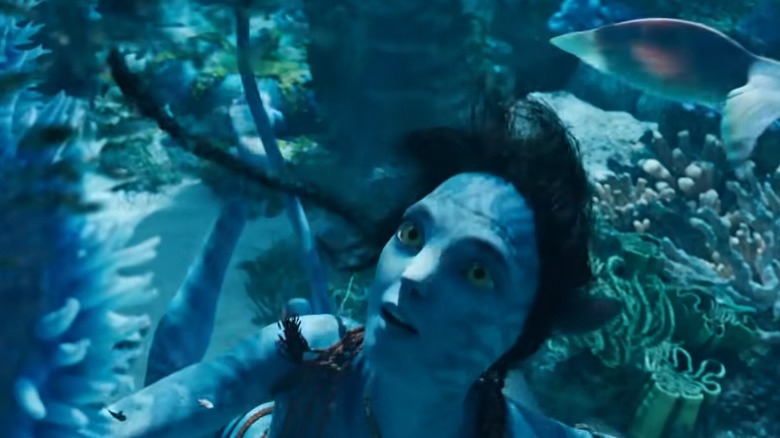 Kiri swimming