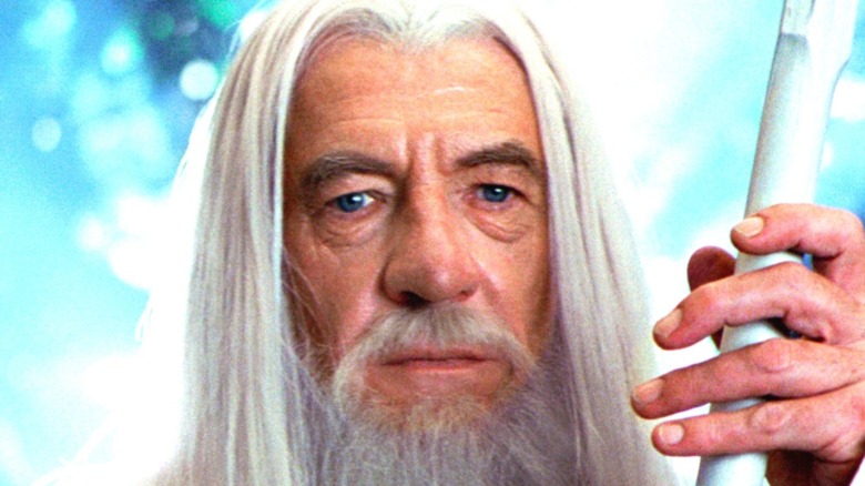 Ian McKellen as Gandalf in Lord of the Rings