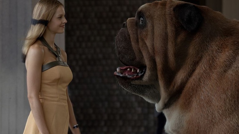 Crystal smiling at Lockjaw