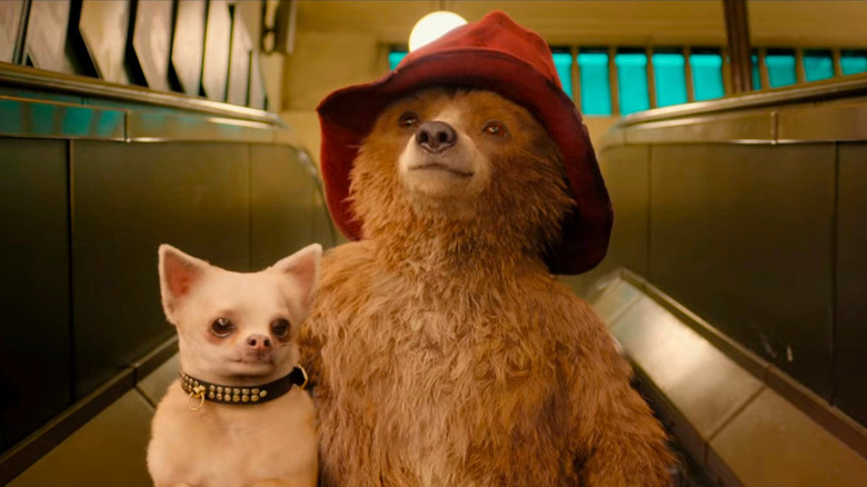 Paddington with a dog