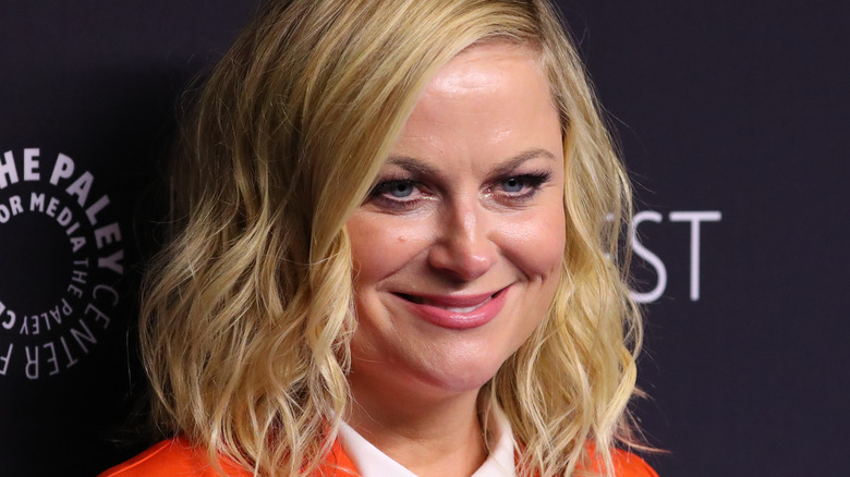 Amy Poehler