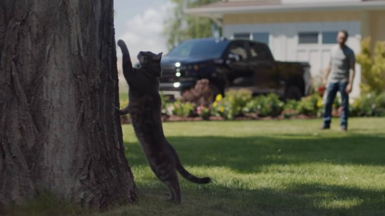 People Are Loving The Cat In Chevy's New Commercial. Here's Why