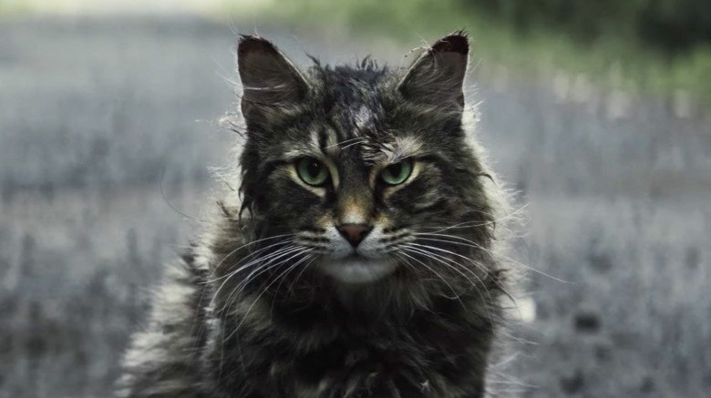 Pet Sematary remake cat Church