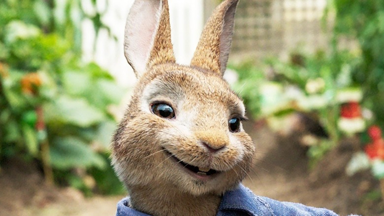 Peter Rabbit smirking