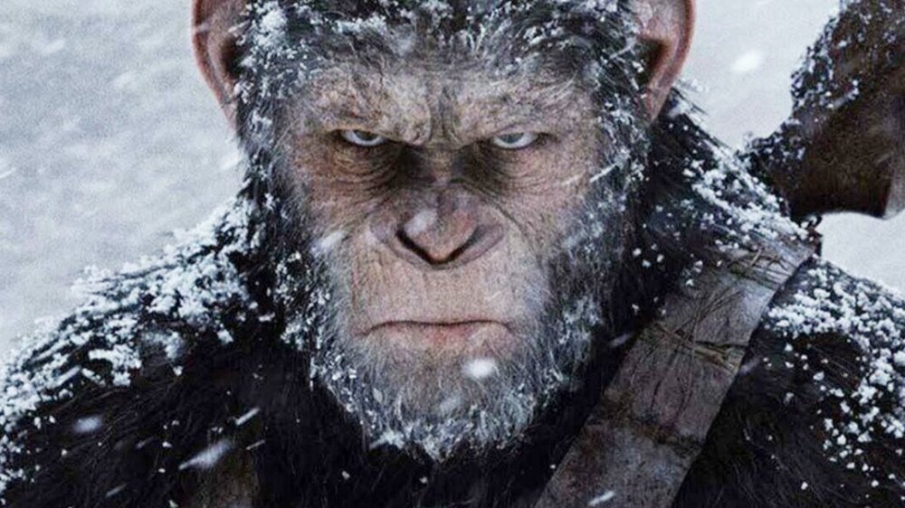 Still from War for the Planet of the Apes