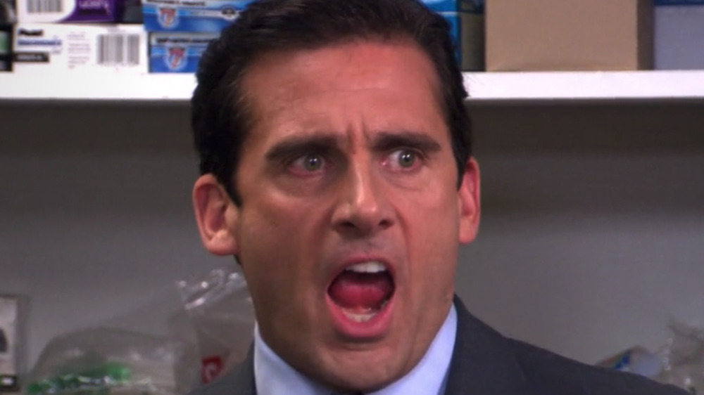 Steve Carell as Michael Scott on The Office