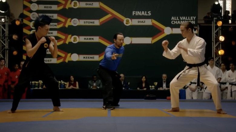 Hawk Robby All-Valley