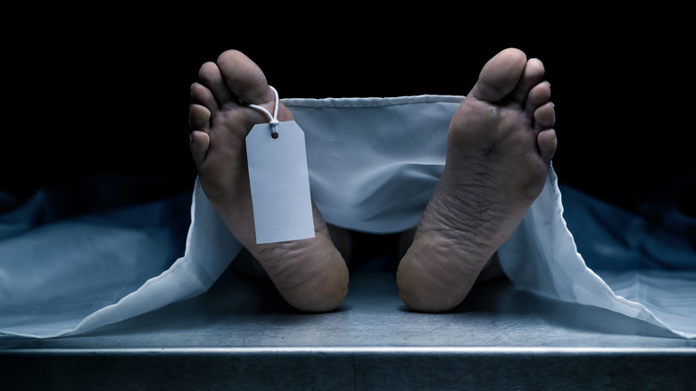 Dead body's feet with blank tag attached