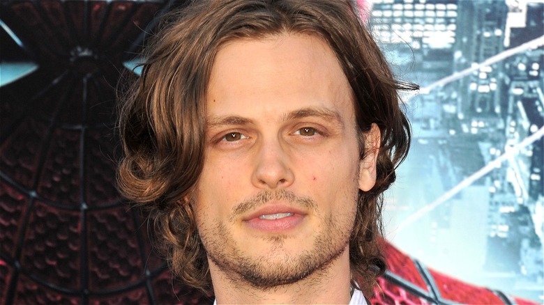 Matthew Gray Gubler