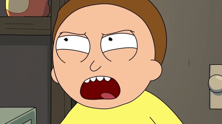 Morty yelling in 'Rick and Morty'