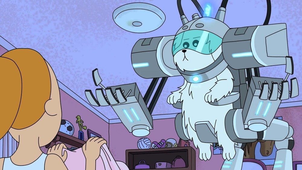 Snowball the dog appears in one of the first episodes of Rick and Morty