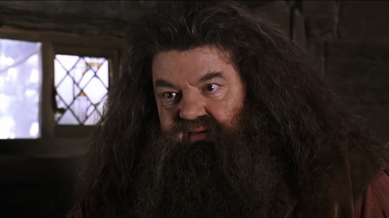 Robbie Coltrane as Hagrid