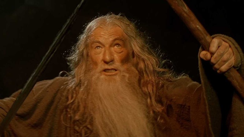 Gandalf in The Lord of the Rings