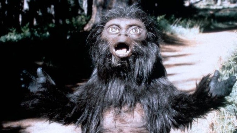 Little Bigfoot screams at the sky