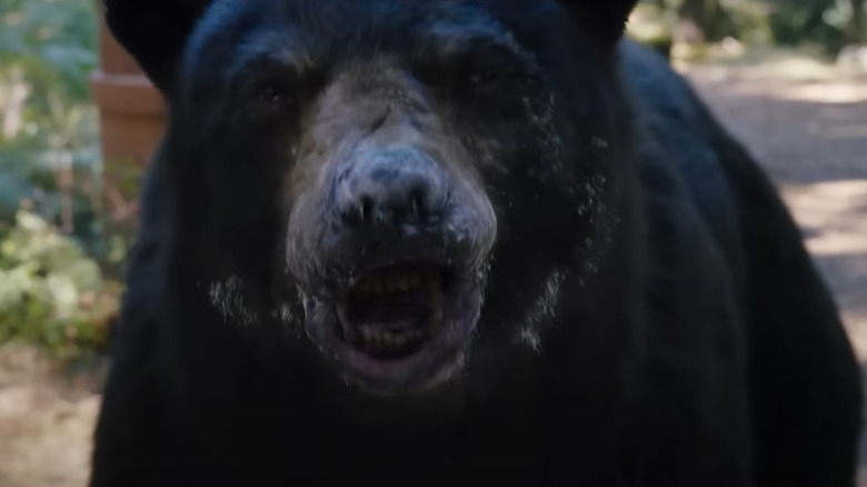 Cocaine Bear snarling