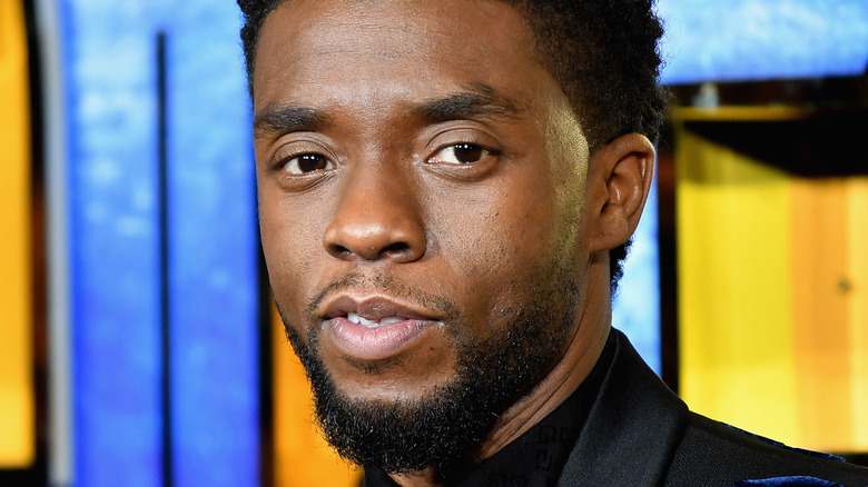 Chadwick Boseman at Black Panther premiere