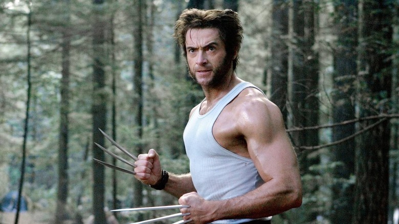 Wolverine bearing his claws in the woods