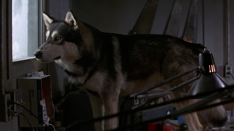 The Thing (1982)