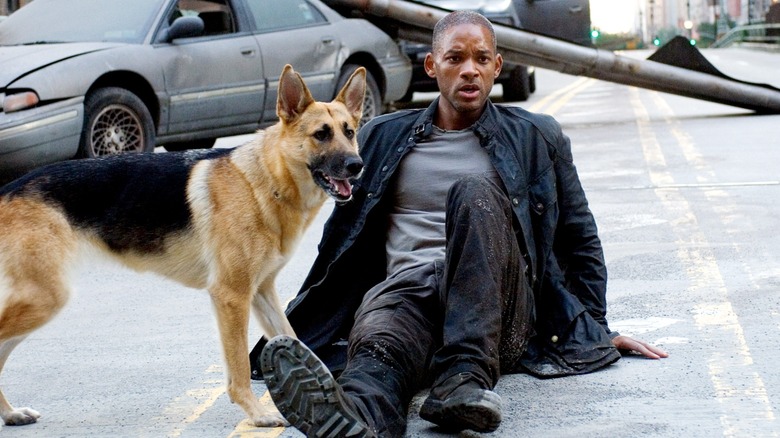 Dr. Robert Neville and his dog Sam in "I Am Legend" (2007)