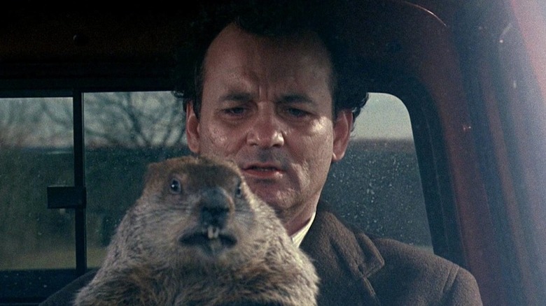 Phil Connors drives with groundhog