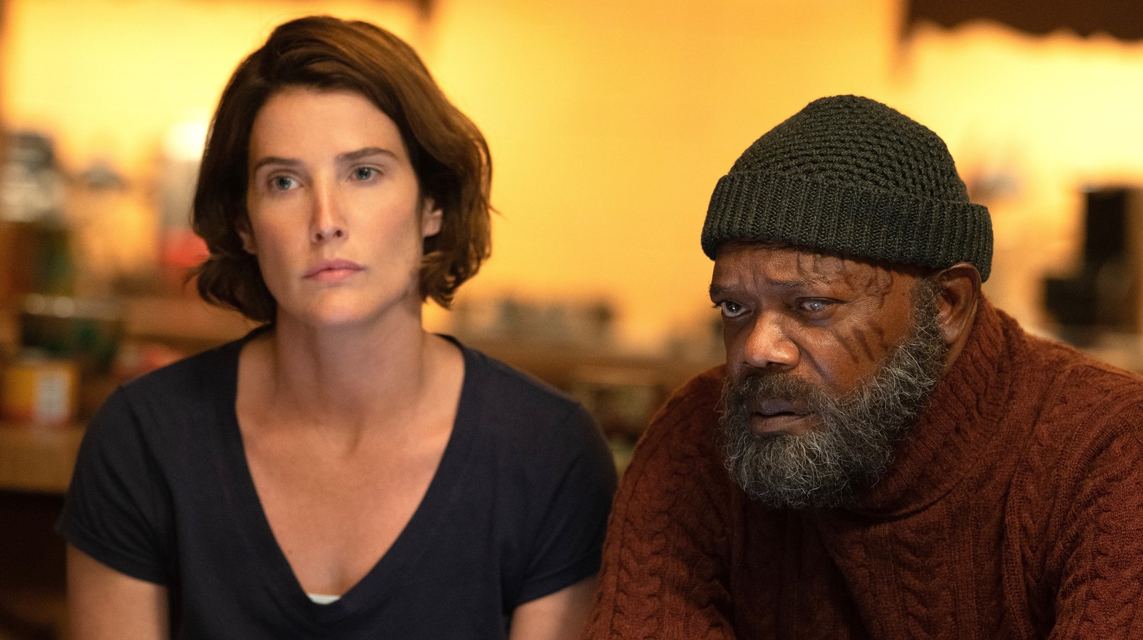 Secret Invasion What Did Maria Hill Do Right After The Blip?