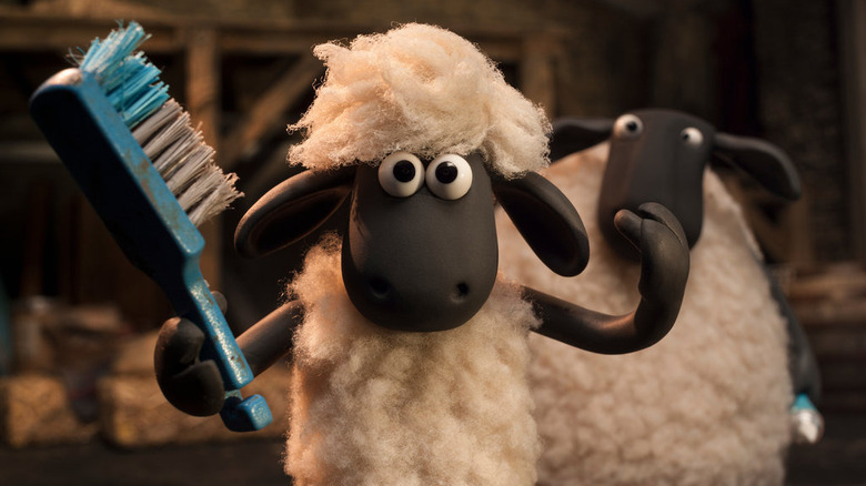 Shaun brushing wool