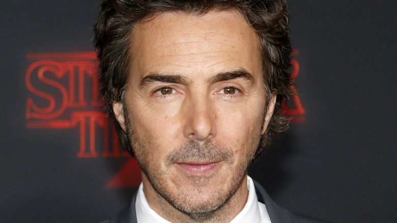 Shawn Levy at a Stranger Things premiere