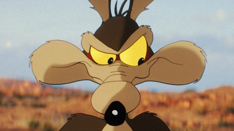 Wile E. Coyote looking sly in Coyote vs. Acme