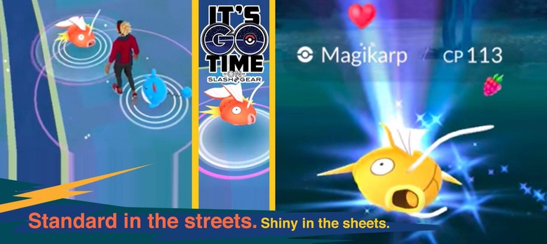 Shiny Pokemon GO Update: How To Catch A Gold Magikarp