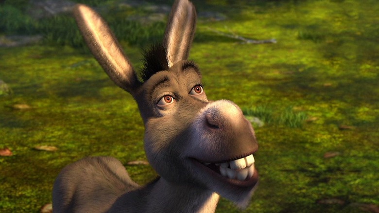 Donkey looking up