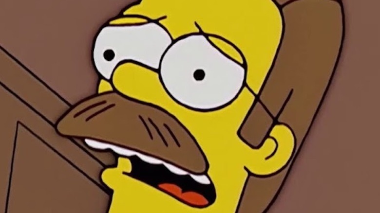 ned Flanders shocked