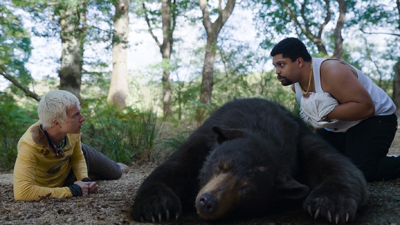 The bear lying on the floor