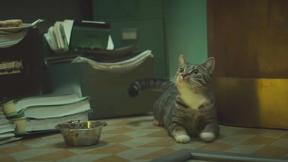 Cat in the Loki trailer