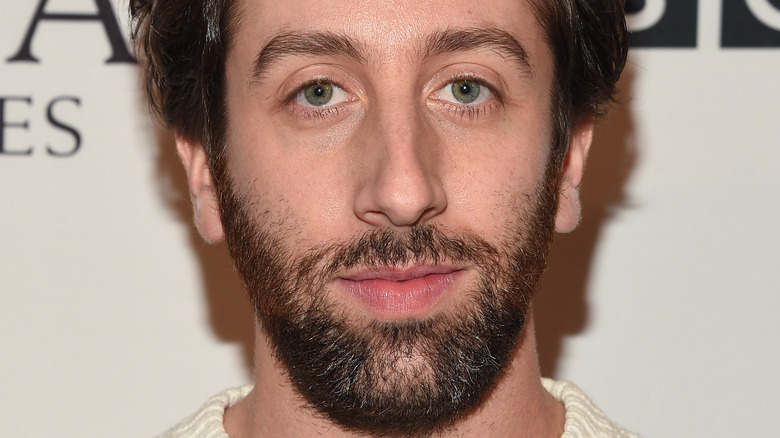 Simon Helberg at red carpet with stubble
