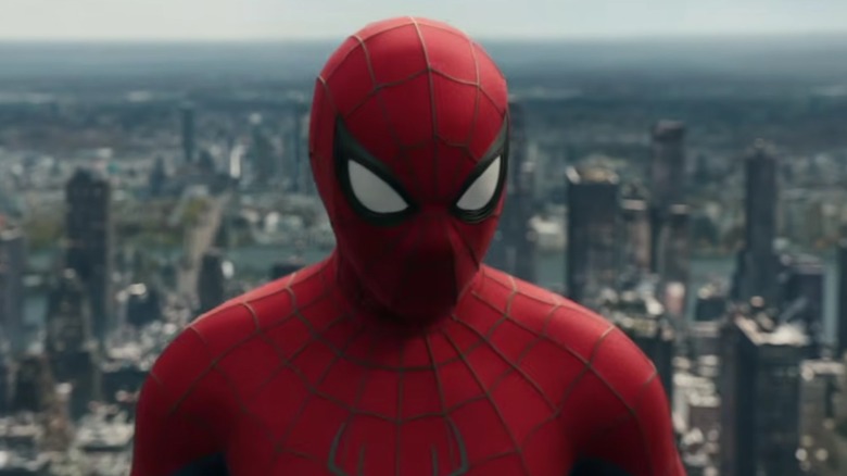 Spider-Man wearing his costume in 