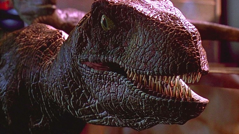 A velociraptor snarling up close top the camera in Jurassic Park (1993)