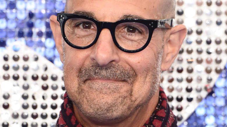 Stanley Tucci smirks pleasantly