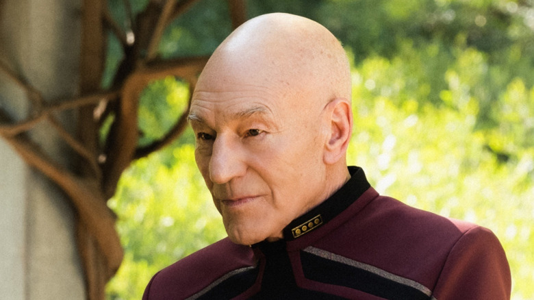 Jean-Luc Picard sitting outside (2020)