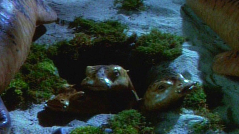 Tom Paris and Janeway's salamander babies in Star Trek Voyager (1996)