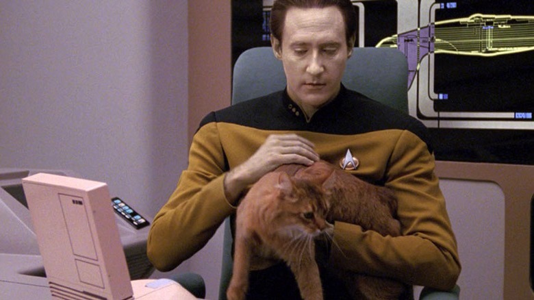 Data holding Spot