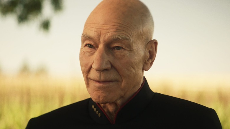 Old Picard in a field