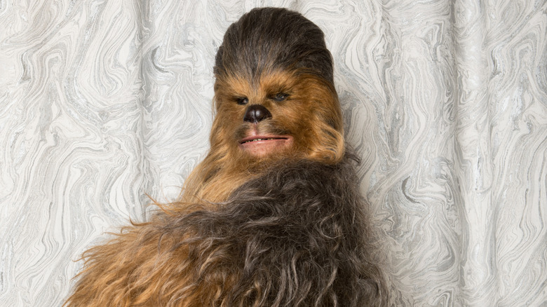 Chewbacca posing coyly