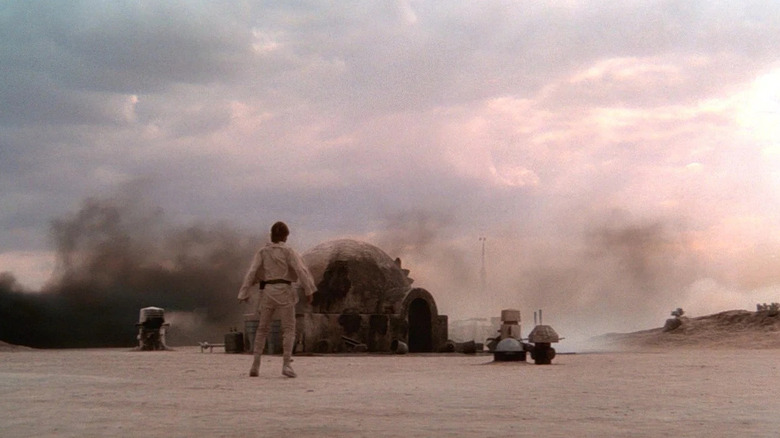 Luke Skywalker standing outside of his burnt down home in Star Wars