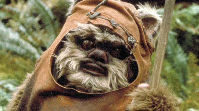 Wicket stares into the camera