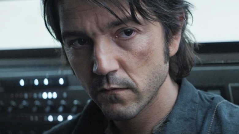 Cassian Andor looking suspicious